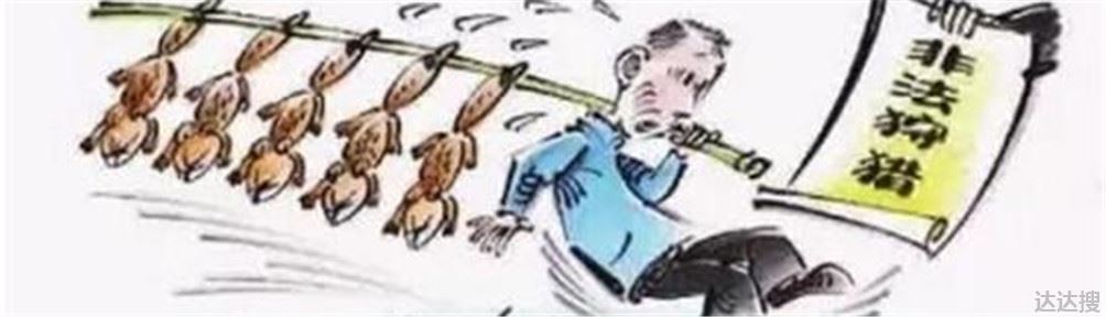 非法捕猎如何处罚 非法捕猎是什么违法行为