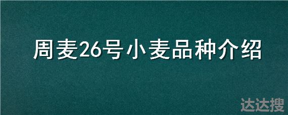 周麦26号小麦品种介绍