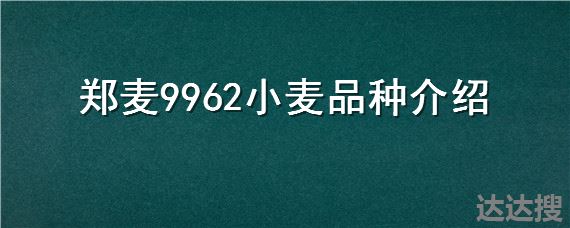 郑麦9962小麦品种介绍