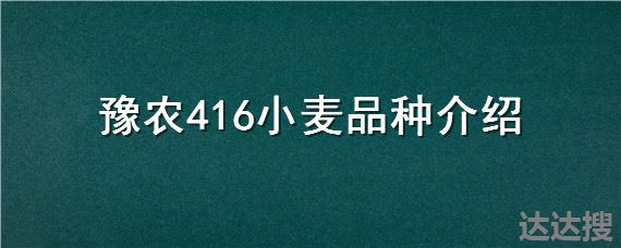 豫农416小麦品种介绍
