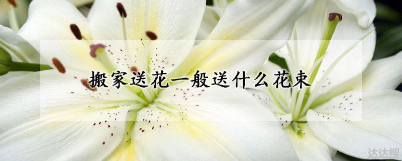 搬家送花一般送什么花束