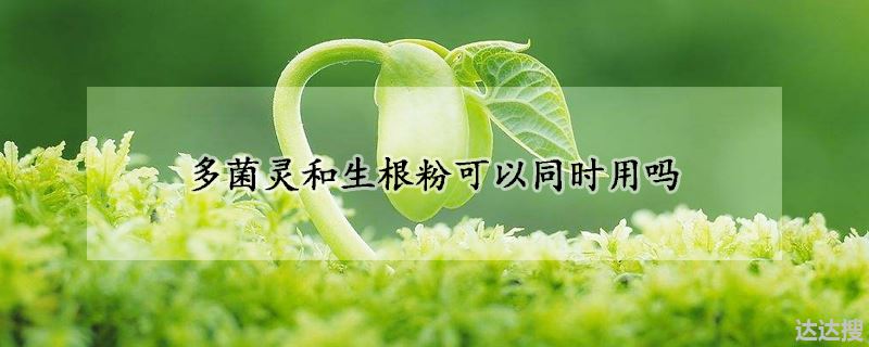 多菌灵和生根粉可以同时用吗