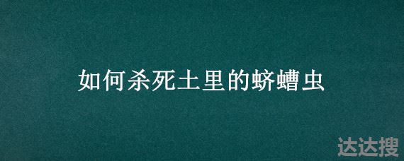 如何杀死土里的蛴螬虫