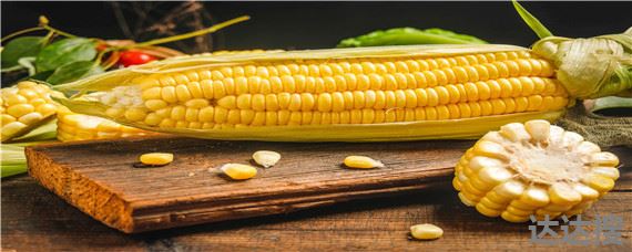 强育H1992玉米种特征特性 强育h1992玉米品种国审号