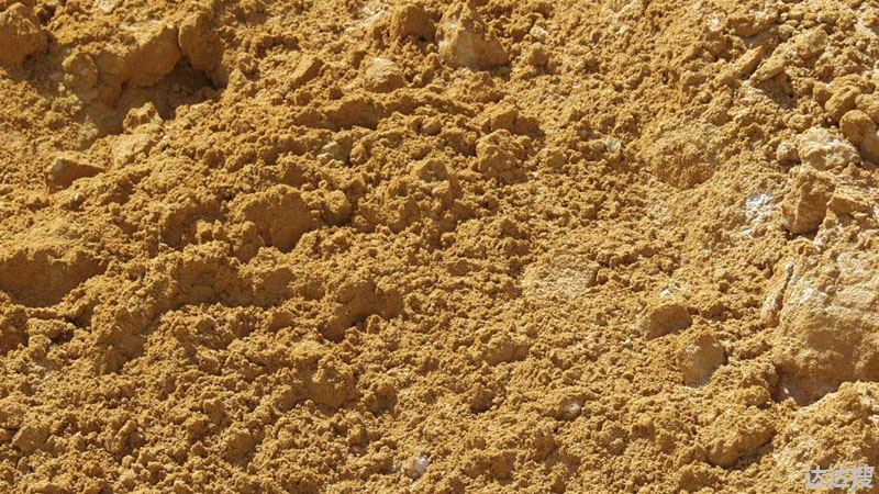 沙质土壤是什么