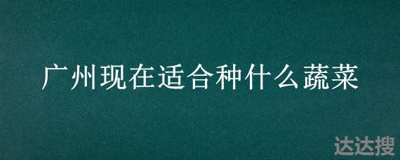 广州现在适合种什么蔬菜 广东十月种什么蔬菜