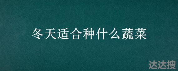 冬天适合种什么蔬菜 南方冬天适合种什么蔬菜