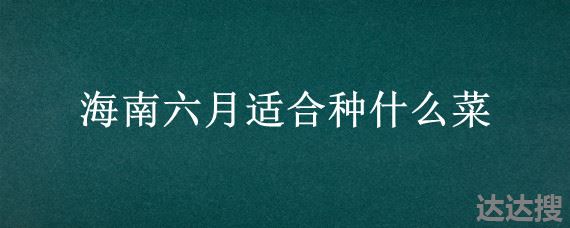 海南六月适合种什么菜 海南夏季适合种什么菜