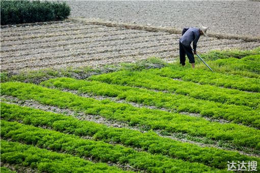 土地管理法2021耕地保护最新规定