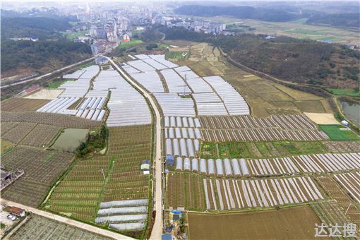 湖南省农村土地流转交易最新规定