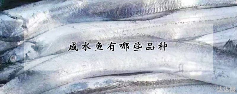 咸水鱼有哪些品种