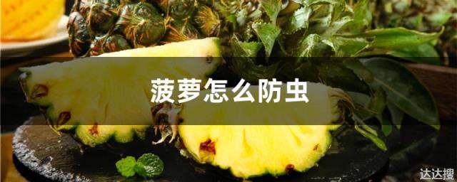 菠萝怎么防虫