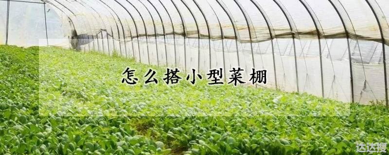 怎么搭小型菜棚