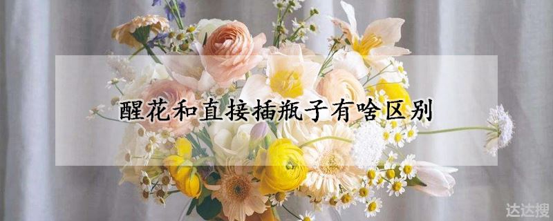 醒花和直接插瓶子有啥区别