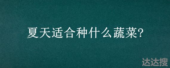 夏天适合种什么蔬菜 夏天适合种什么瓜