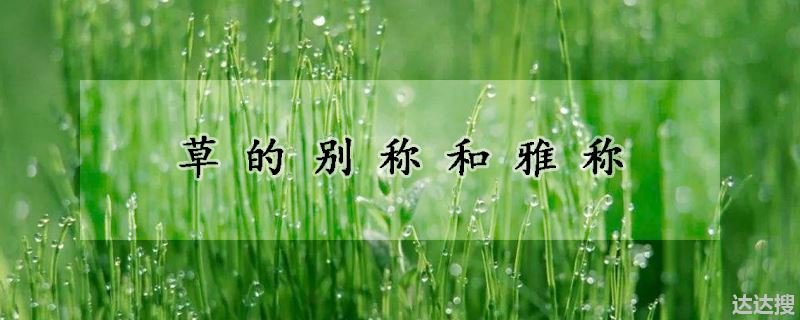 草的别称和雅称