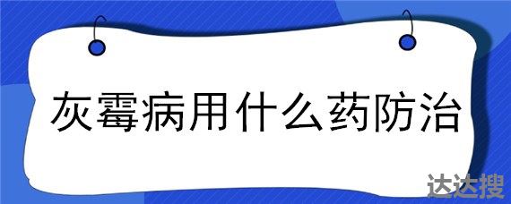 灰霉病用什么药防治 贝母灰霉病用什么药来冶