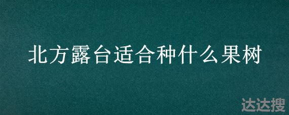 北方露台适合种什么果树，适合北方阳台种植的果树