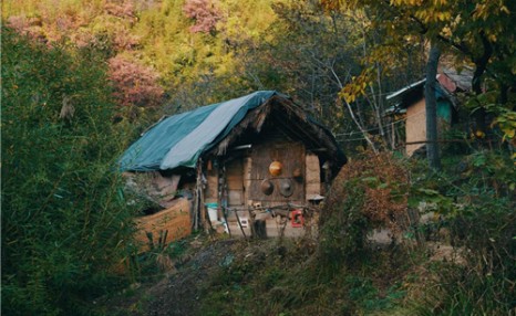 终南山隐士：万人隐居的背后是逃避现实，一场大雪直接原形毕露