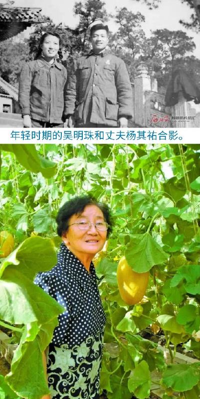 中国人能自由吃瓜离不开这位奶奶