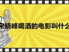 宋晓峰喝酒的电影叫什么？宋晓峰喝酒很厉害的电视剧