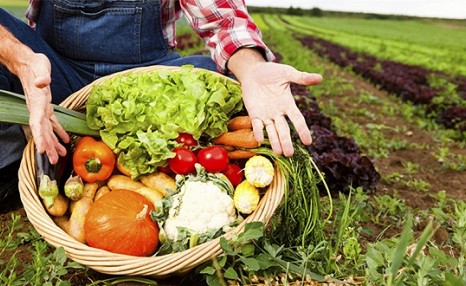 农产品如何推广是最好的方式：滞销农产品如何推广？ 
