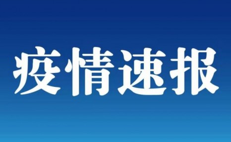 31省区市新增本土确诊20例